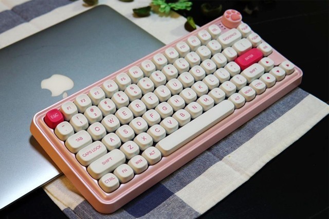 СZ82ܶŮģŮѡ̶ÿ
