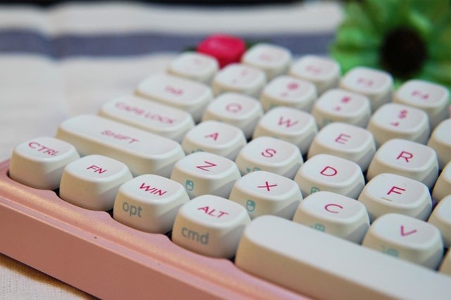 СZ82ܶŮģŮѡ̶ÿ