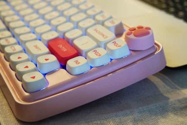 СZ82ܶŮģŮѡ̶ÿ