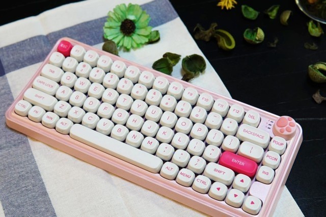 СZ82ܶŮģŮѡ̶ÿ