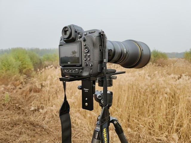 ῵Z 9콢+Z 800mm f/6.3ͷս̬Ӱ