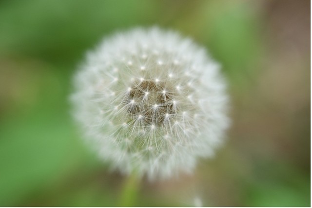 ˴Ȧĳ佹ͷ ˶ Z 70-180mm f/2.8տ