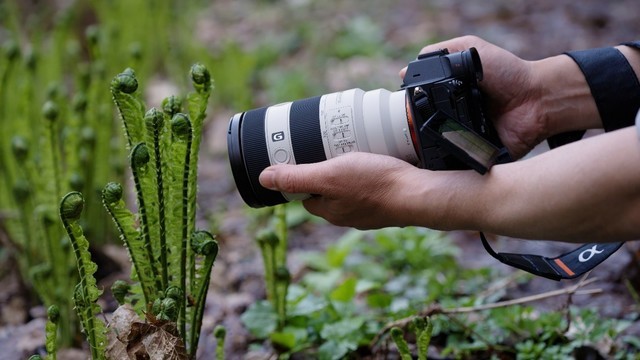 ᷢһСԪFE 70-200mm F4 Macro G OSS IIͷ