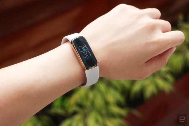 fitbit߼Աɸ˯ 