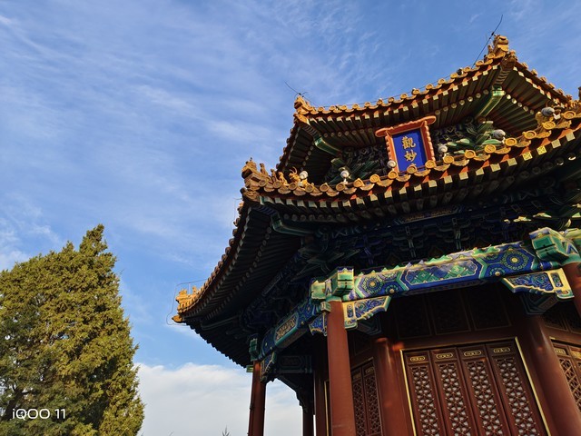 iQOO 11影像实测 电竞旗舰拍照也是一把好手