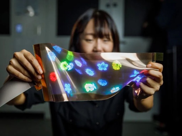 LG DisplayߴOLED ʾȫע