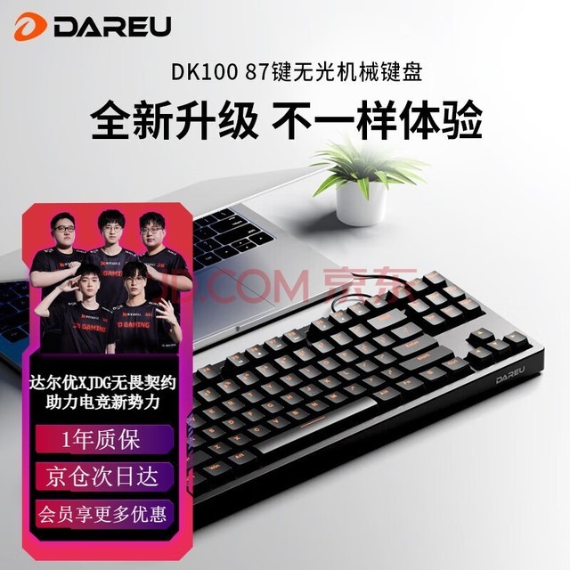 达尔优 DK100 87键机械键盘 办公键盘 台式电脑键盘网咖吃鸡键盘(绝地求生 游戏键盘lol) 87键-无光红轴