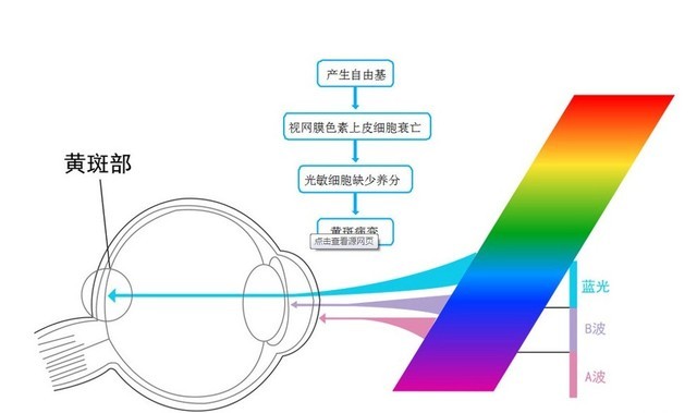˸߷ֱ 칫ʾҪעЩ