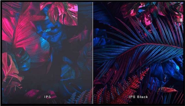IPS IPS BLACKʲô