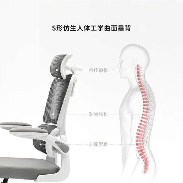 【手慢无】人体工学电脑椅抢购价539元 八九间S型仿生设计
