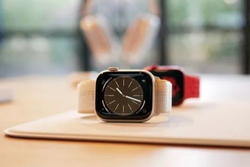 ̵ĿǰڱϺõֱApple Watch⼸