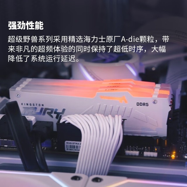 ޡʿFURY 64GB DDR5 6000ڴ ʱŻ1889Ԫ