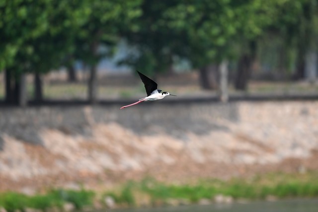 ߻ʳ ˶ Z 180-600mm f/5.6-6.3 VRͷ