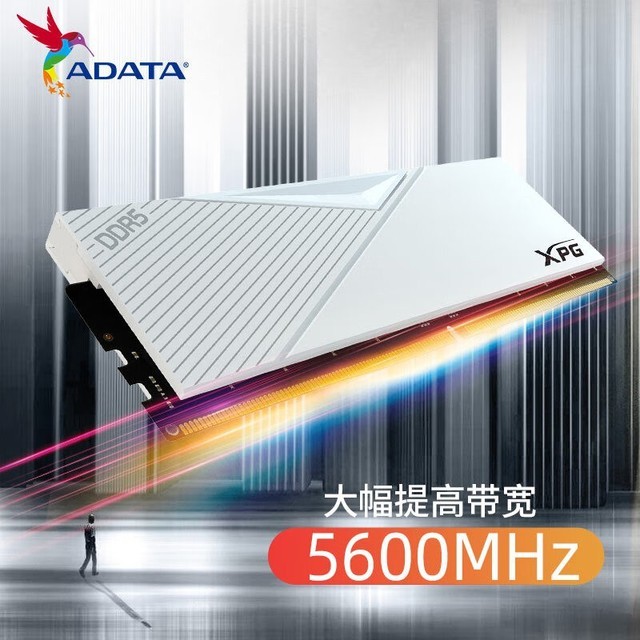ޡ XPG -LANCER DDR5 5600 ̨ʽڴ 32GB1718Ԫ