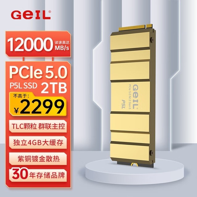 ޡGeIL  2TB SSD̬Ӳ P5Lϵ ϡȱ2199Ԫ