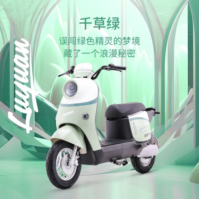  [Slow hand without] Luyuan new national standard electric bicycle ZOF only sells for 2499 yuan