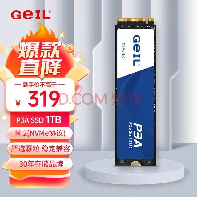GEIL 1TB SSD̬Ӳ M.2ӿPCIe 3.0NVMeЭ飩̨ʽʼǱӲ  2500MB/S P3Aϵ