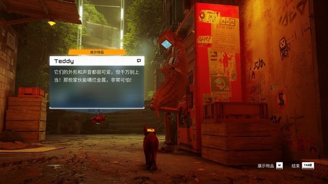 ˭뵱ֻèèأֵһԵèģStray 