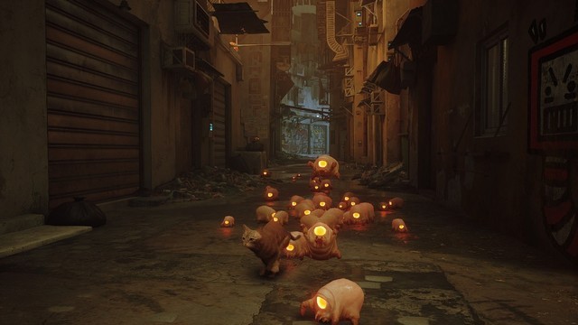 ˭뵱ֻèèأֵһԵèģStray 