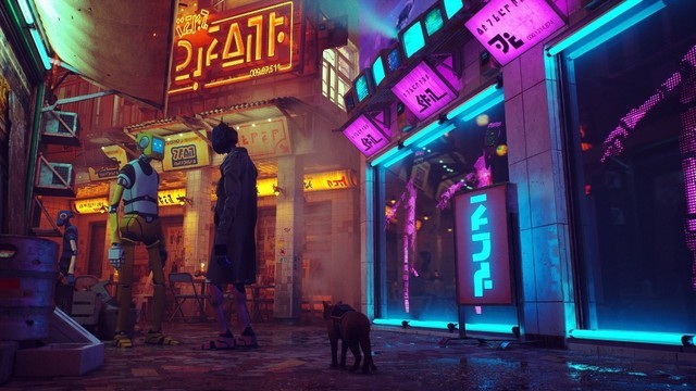 ˭뵱ֻèèأֵһԵèģStray 