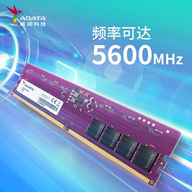 ޡ16GB DDR5 5600 ̨ʽڴʱŻ