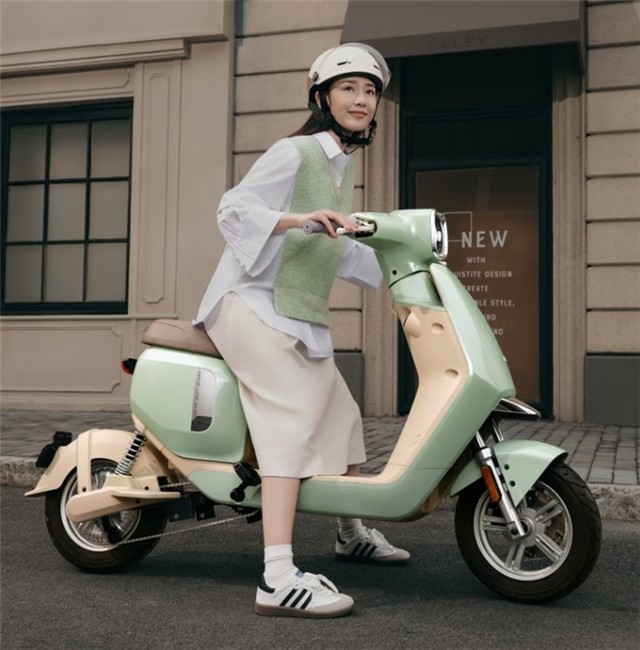 鲁大师2024年q1季度电动车报告新老品牌角逐电自市场九号699分夺魁