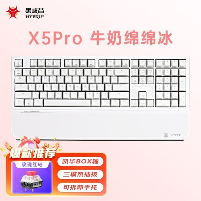 Ͽ X5 Pro BOXõ