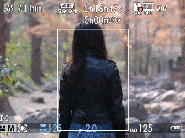  40 megapixel 6.2K video Fuji no reflection camera X-T5 analysis