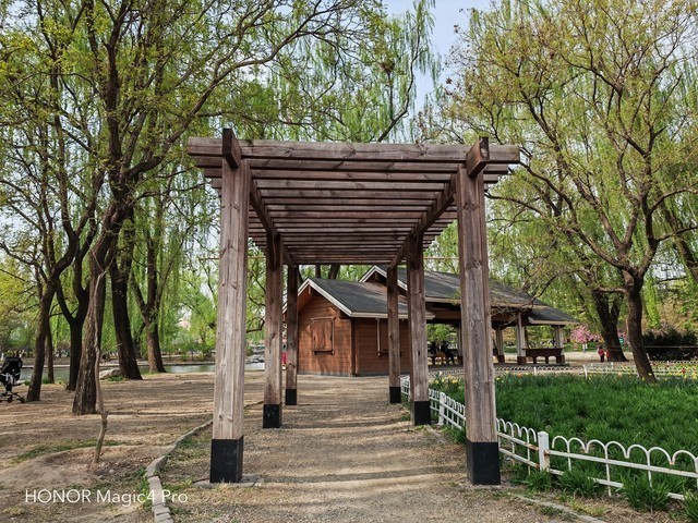 极致影像体验，荣耀Magic4 Pro影像专项评测 