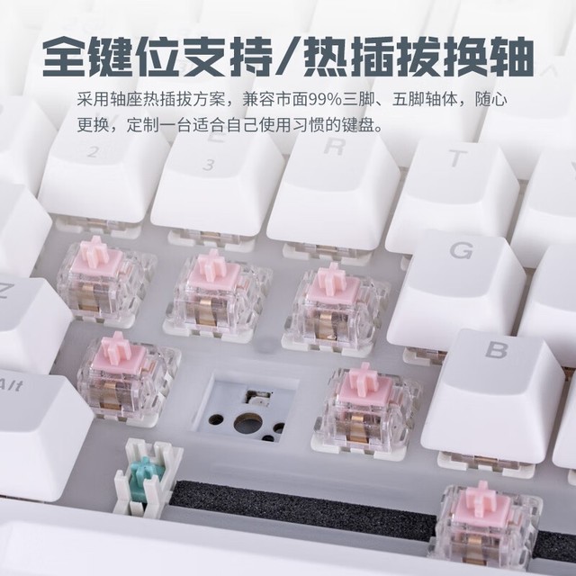 【手慢无】三模gasket结构RGB机械键盘，到手价只要279元_游戏硬件键鼠外设-中关村在线
