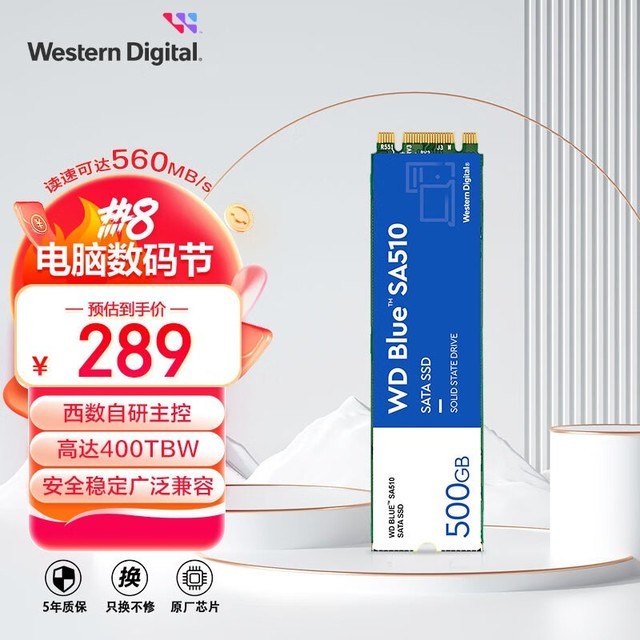  Blue SA510 SATA M.2500GB