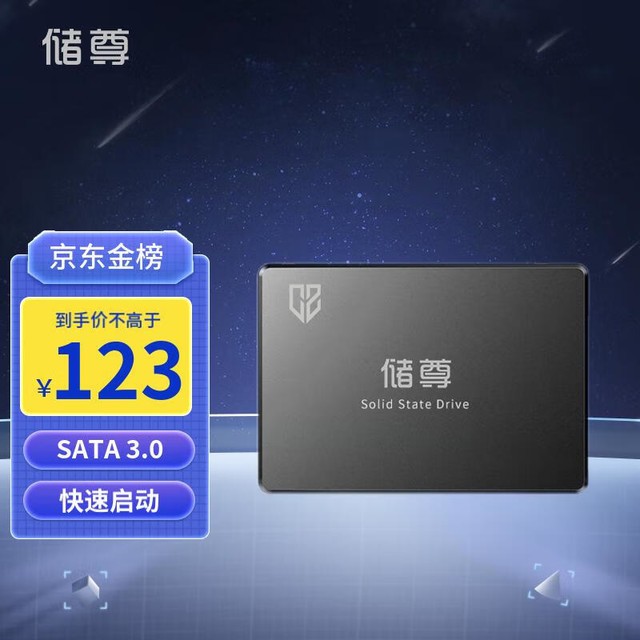  CS101 SATA3512GB