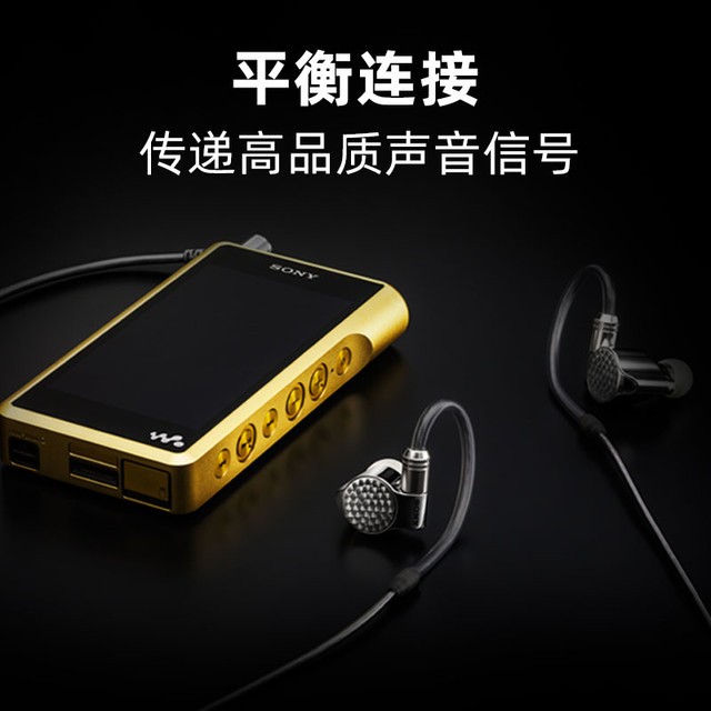 ޡ IER-Z1R Hi-Res ߽ʽ31388Ԫ
