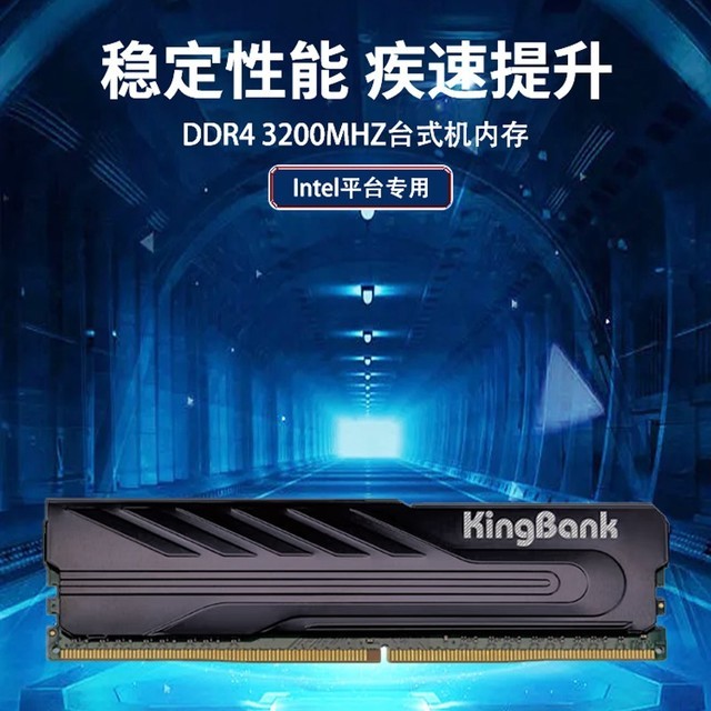 ޡٴھϵDDR4ڴؼ 169Ԫ