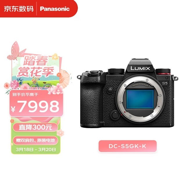  Lumix S5