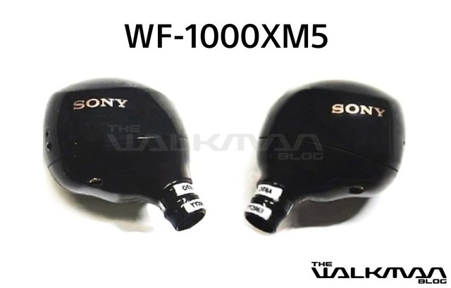  WF1000XM5 Ƭع