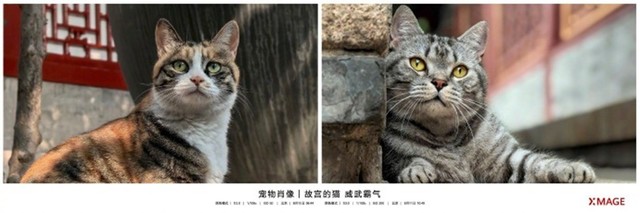 用影像传递动人力量 华为影像XMAGE优秀作品将于七城户外展出