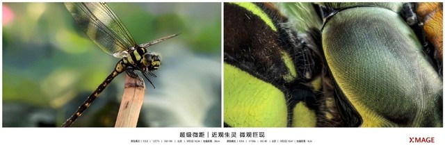 用影像传递动人力量 华为影像XMAGE优秀作品将于七城户外展出