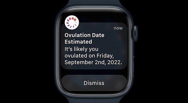 Apple WatchаҪôѡ