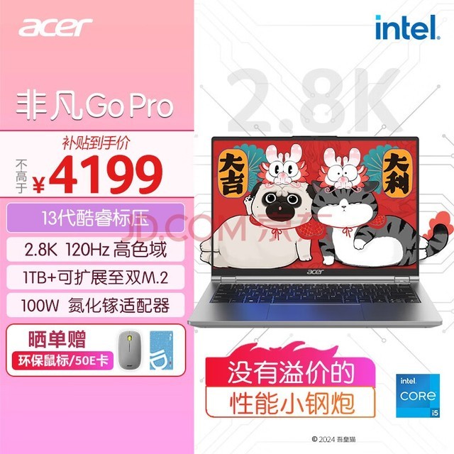 곞acerǷGo Pro 13ѹᱡ 14Ӣ2.8K 120Hz 칫ʼǱԴѧ (i5-13500H 16G 1T 100W)