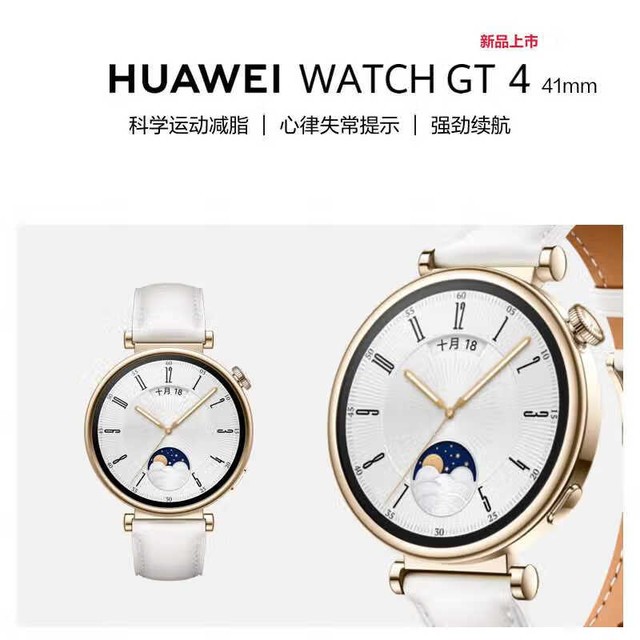 Ϊ WATCH GT 4 (41mm) ˪ ɫƤ