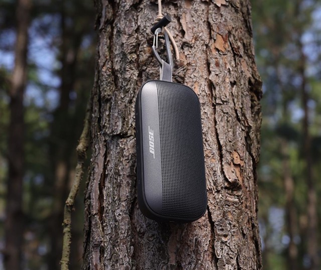ޡõBose SoundLink Flex ֵͼ 