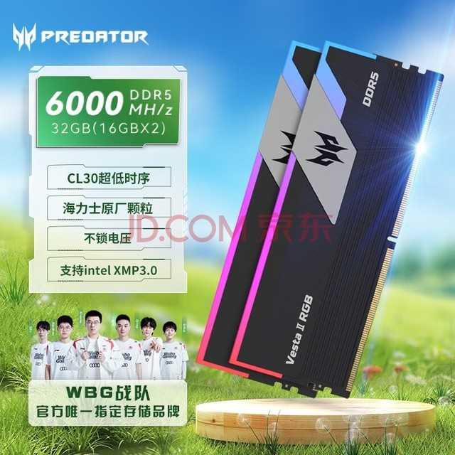 宏碁掠夺者(PREDATOR)32G(16G×2)套装 DDR5 6000频率 台式机内存条 Vesta II 炫光星舰RGB灯条(C30) 石耀黑 AI电脑配件