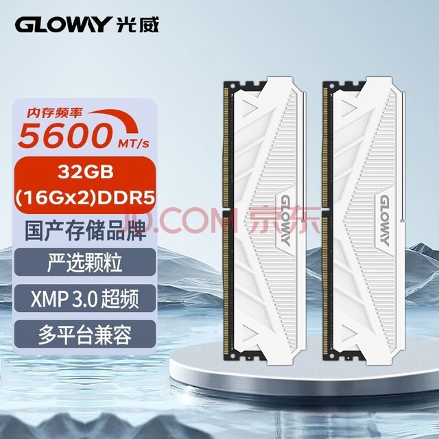 光威(Gloway)32GB(16GBx2)套装 DDR5 5600 台式机内存条 天策系列 助力AI