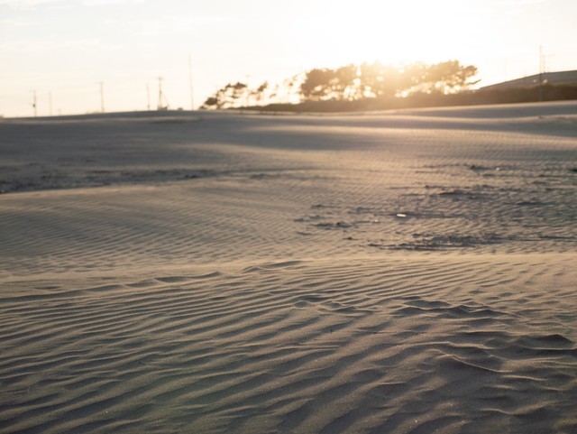 ƵF2.8Ȧ LEICA DG VARIO-ELMARIT 12-35mm / F2.8 ASPHͷ
