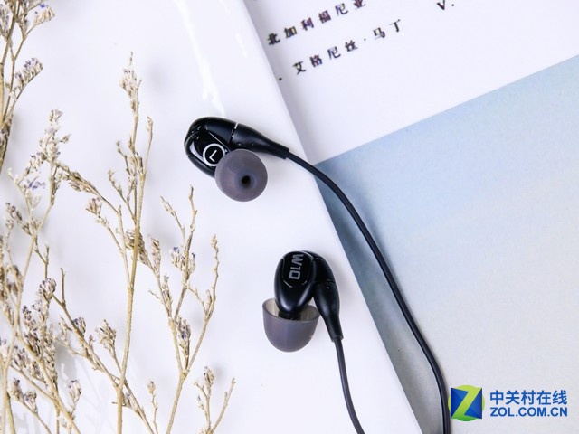 HiFiѡ ʿW10ͼ