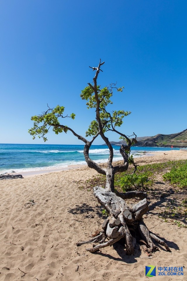 大c游世界檀香山人与自然结合的风光