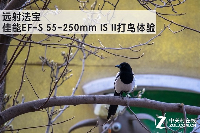 Զ䷨ EF-S 55-250mm IS II