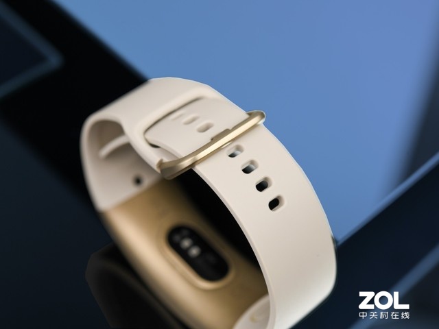 һ廯 Amazfit Xֱͼ