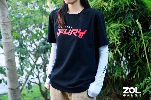 ض壡Kingston FURY糱Ȧ
